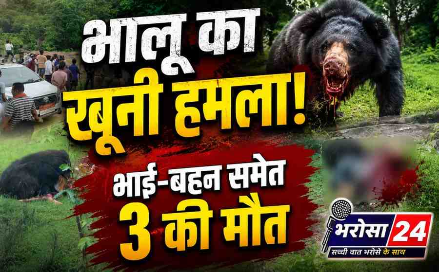 कांकेर में भालू का खूनी हमला: भाई-बहन समेत 3 की मौत, शवों को नोचता रहा; 3 घायल, LIVE VIDEO आया सामने