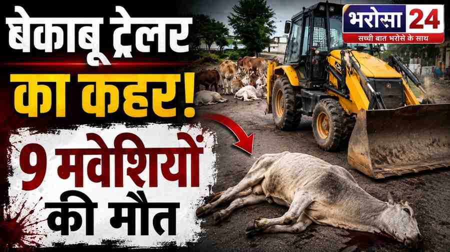 बेकाबू ट्रेलर ने 9 मवेशियों को रौंदा: बिलासपुर-कोरबा हाईवे पर दर्दनाक हादसा, हाईकोर्ट की सख्ती के बावजूद नहीं थमे हादसे