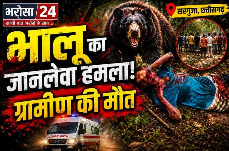 सरगुजा में भालू का जानलेवा हमला, ग्रामीण की मौत: मवेशी चराने जंगल गया था, रायपुर ले जाते समय तोड़ा दम