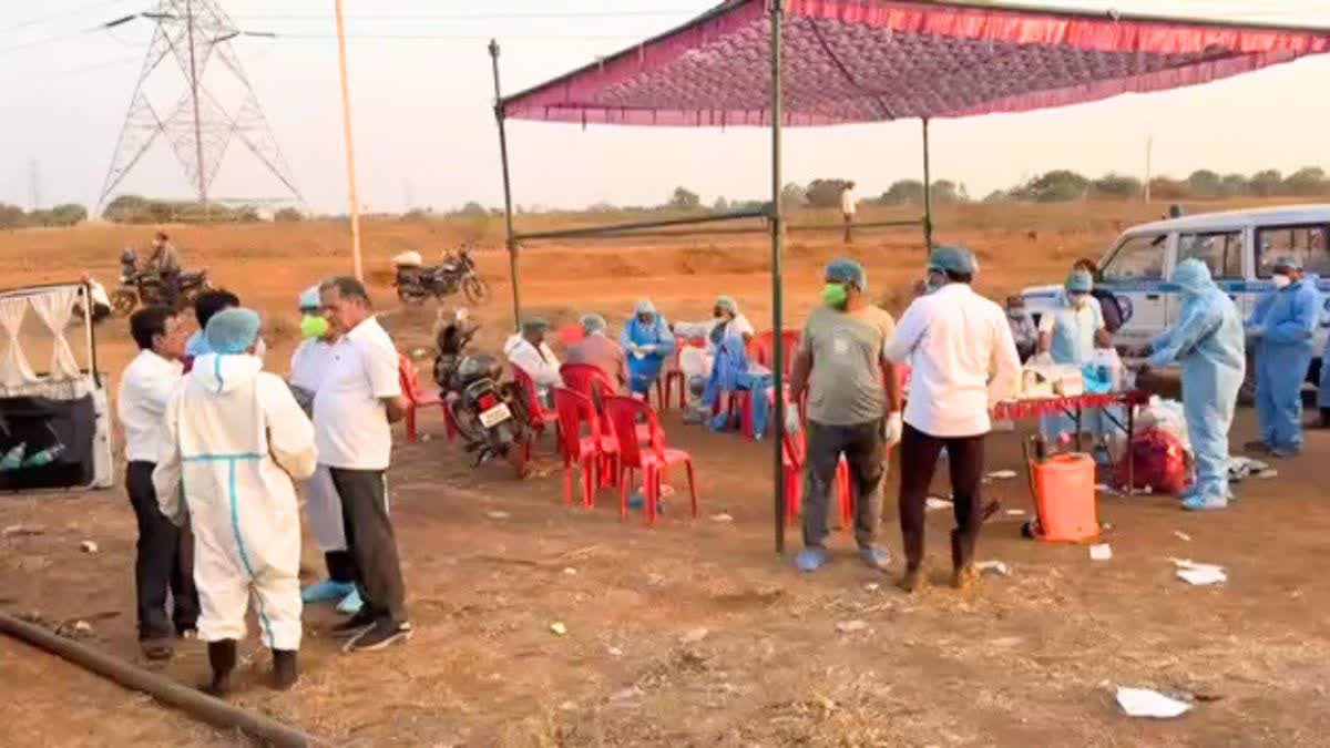 छत्तीसगढ़ में अफ्रीकी स्वाइन फीवर का कहर: दुर्ग में 300+ सुअरों की मौत, 21 गांव इन्फेक्टेड जोन घोषित