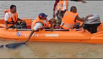 दुर्ग जिले नगपुरा चौकी अंतर्गत कल शिवनाथ नदी में गिरे एक व्यक्ति की मिली लाश, खोजबीन कल से एस.डी.आर.एफ की टीम के सहयोग से थी जारी 
