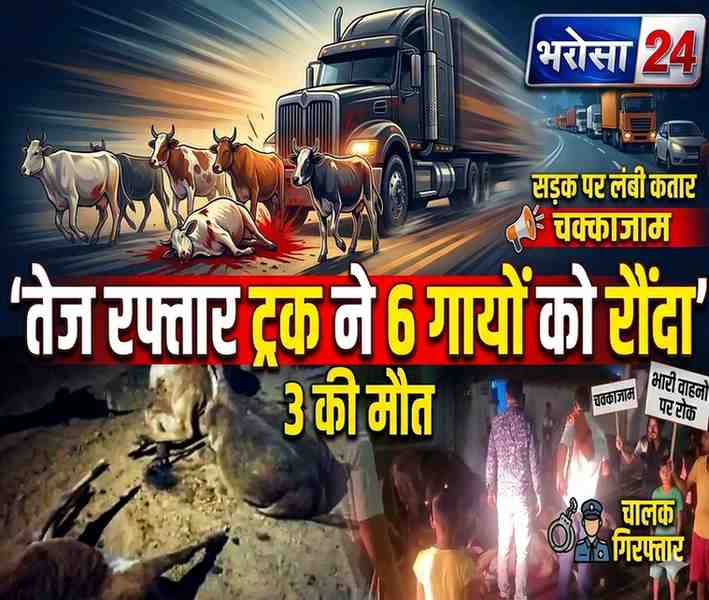 दुर्ग में तेज रफ्तार ट्रक का कहर: 6 गायों को कुचला, 3 की मौत, ग्रामीणों ने किया चक्काजाम