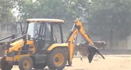 गौठान में 10 गायों की मौत, भूख-प्यास और बीमारी से मौत. प्रबंधक बनें डॉक्टर बोले झिली खाई,खाने के लिए चारा तक नहीं… प्रशासन भी नहीं दे रहा ध्यान
