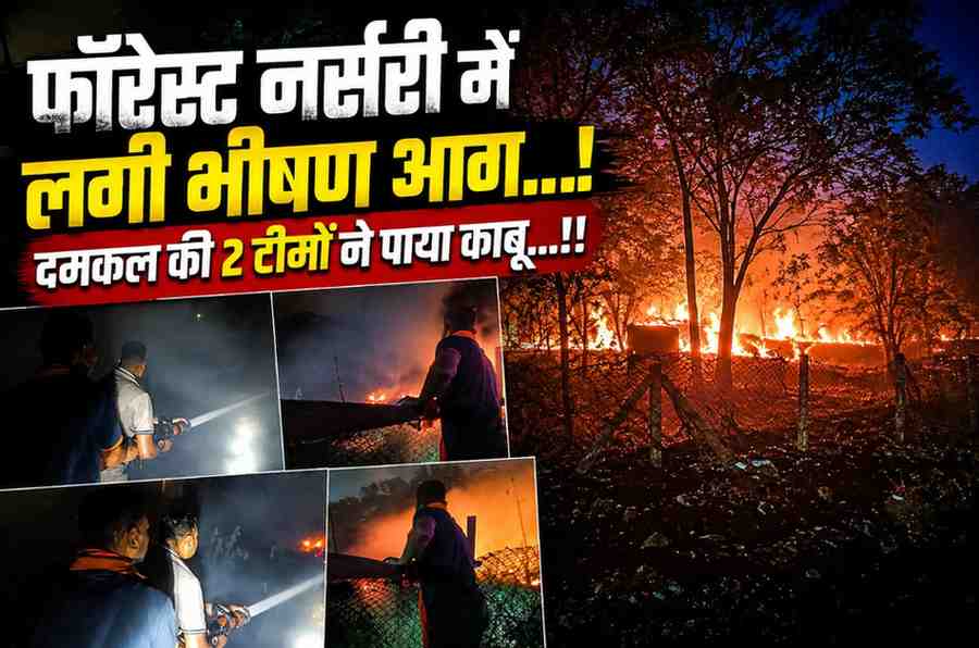 फॉरेस्ट नर्सरी में भीषण आग: समय रहते टला बड़ा हादसा