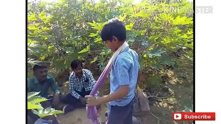 जंगल बना अहाता, हमेंशा रहता है शराबियों का जमावड़ा